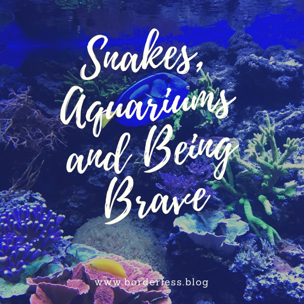 Snakes, Aquariums and Being Brave