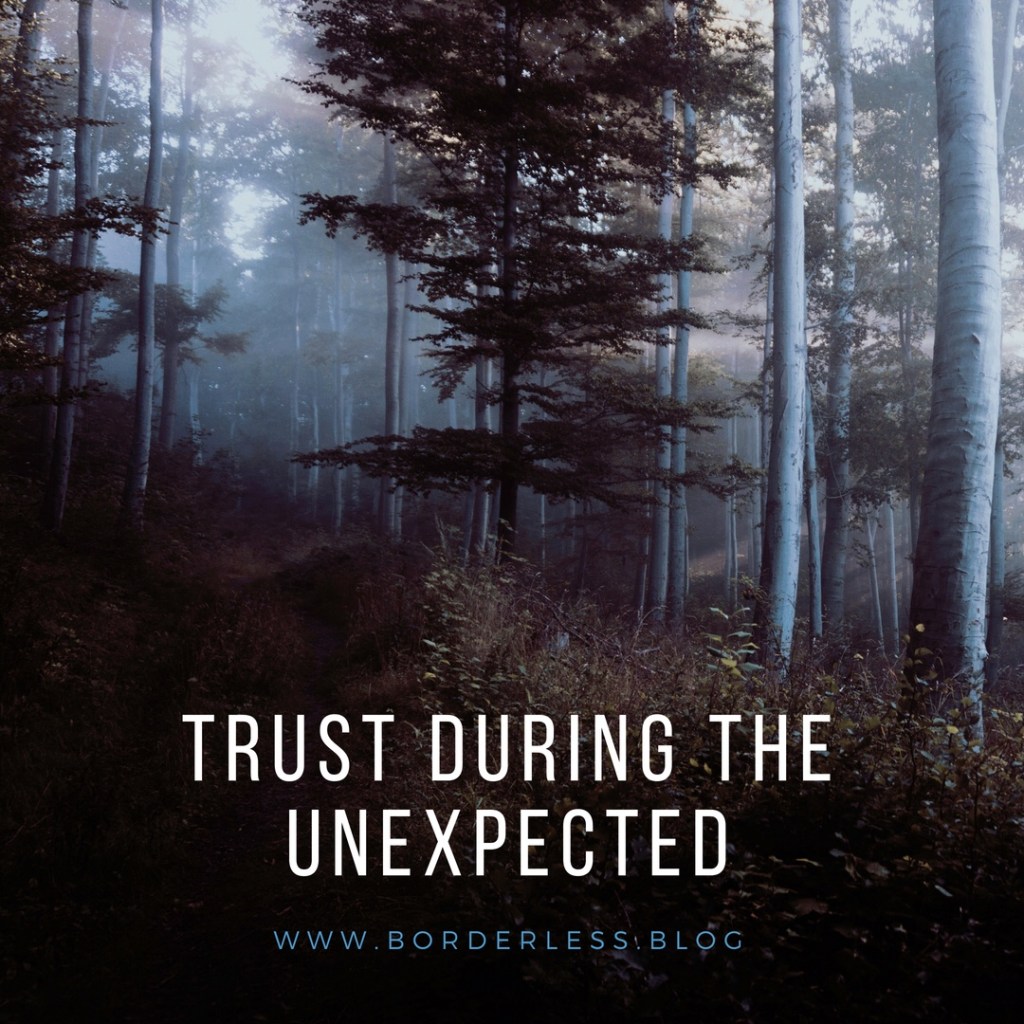Trust During the&nbsp;Unexpected