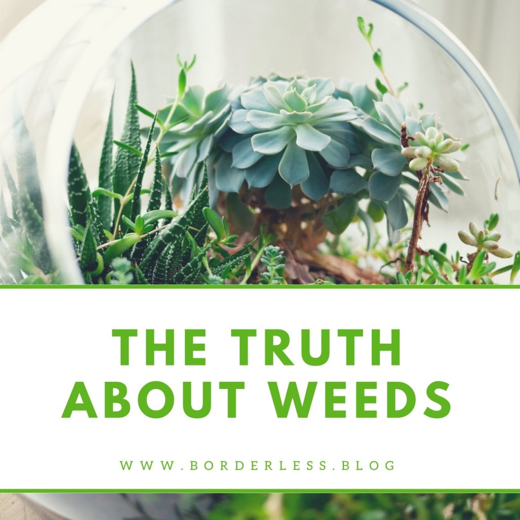 The Truth About&nbsp;Weeds