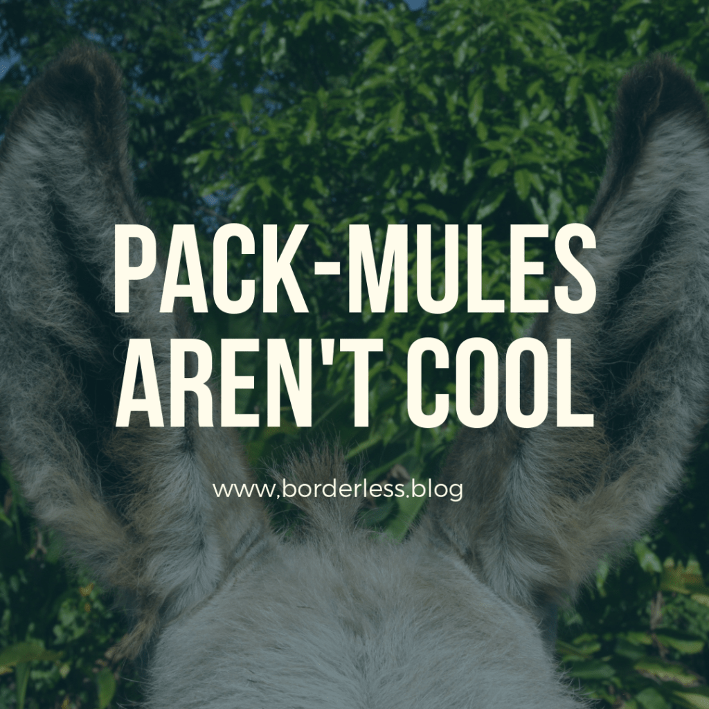 Pack Mules Aren’t&nbsp;Cool